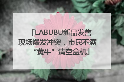 LABUBU新品发售现场爆发冲突，市民不满“黄牛”清空盒机